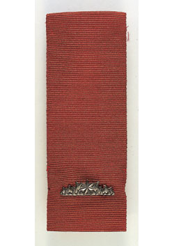 Commendation for distinguished service