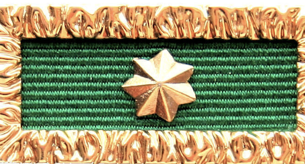 Unit Citation for Gallantry