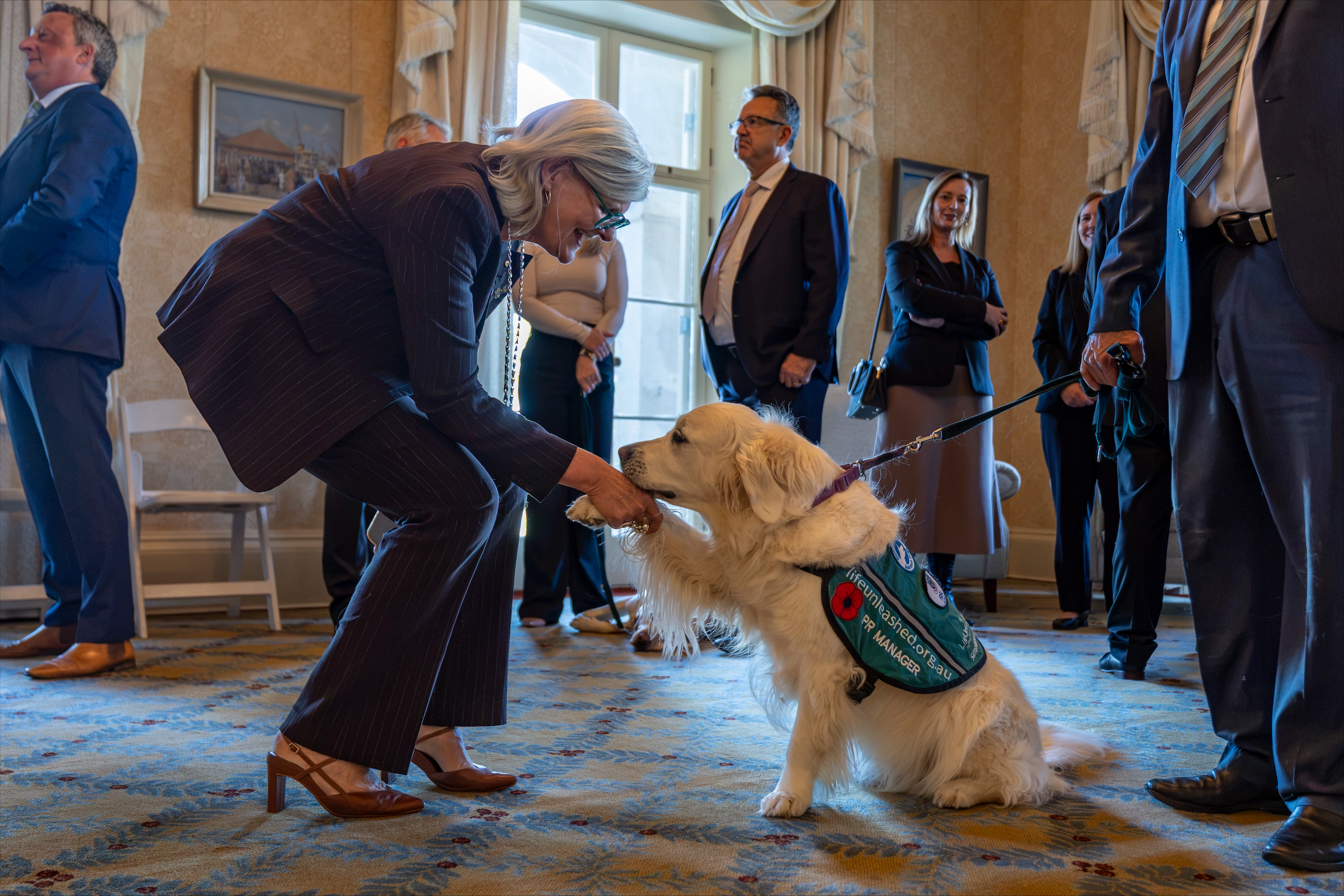 Governor-General shakes paws with an Integra dog
