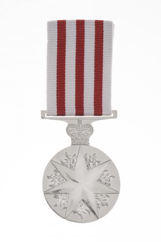 Distinguished Service Medal (DSM)
