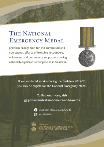 National Emergency Medal Poster