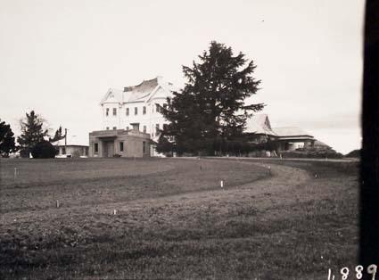 An old photo in black and white of a large white house in the distance and a single, very large tree in front of it