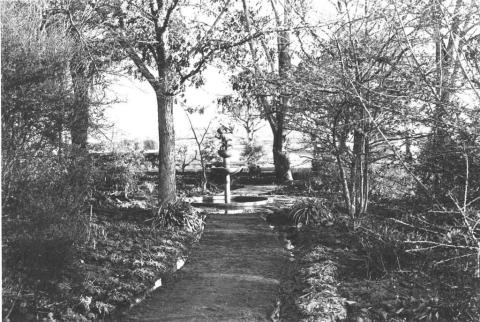 A black and white photo of a path surrounded by trees leading to a small fountain