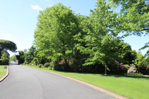 A picture of a large garden