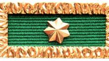 Unit Citation for Gallantry